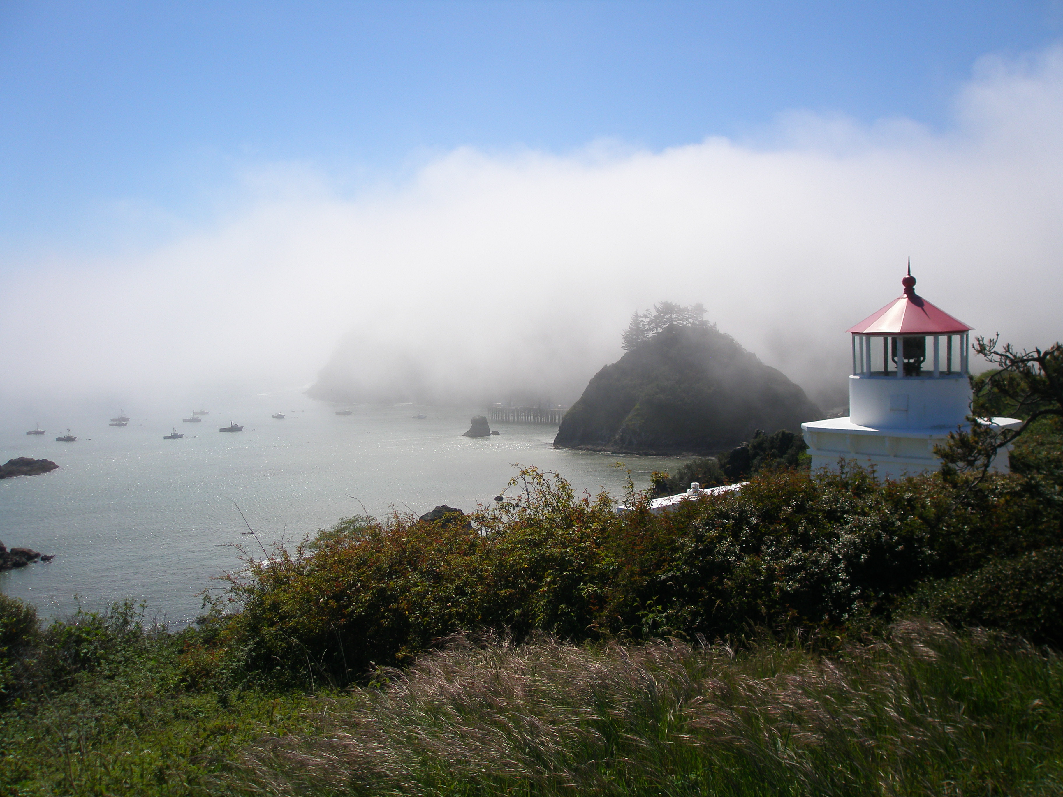 Lost Coast Outpost Humboldt County California - 0a5aqg0
